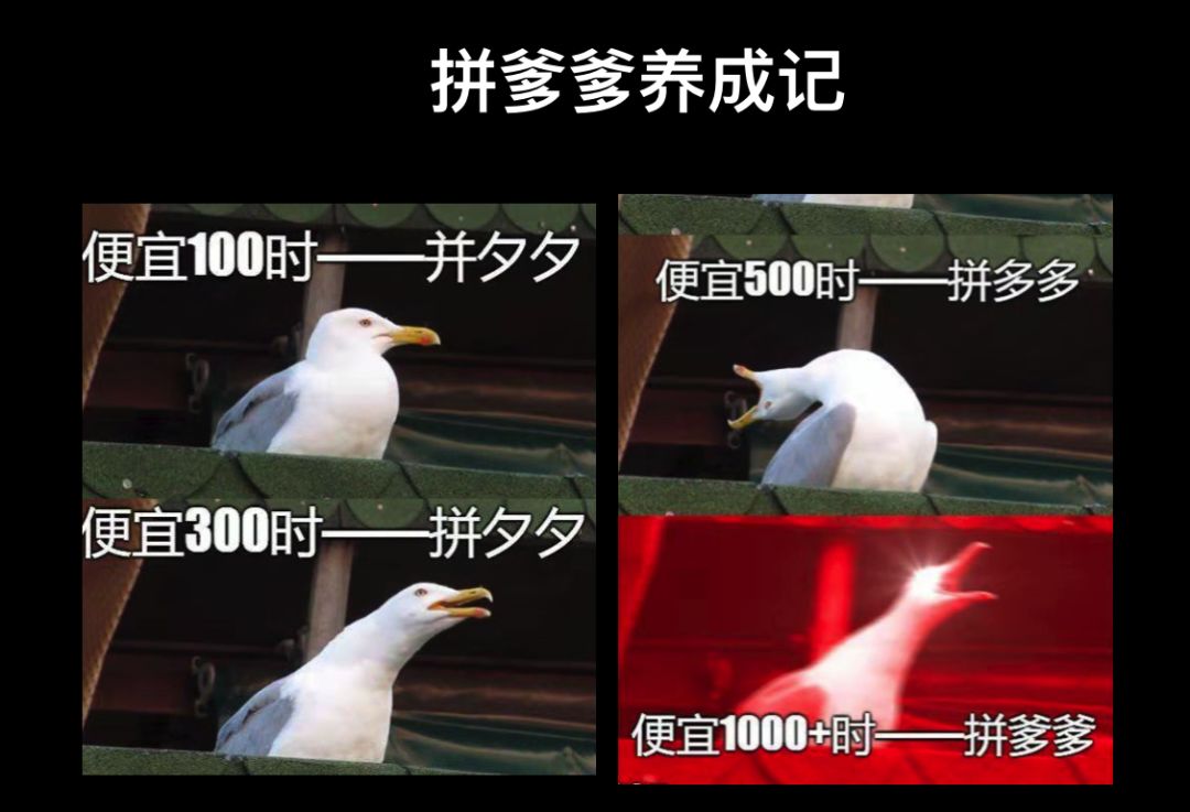 成年人的低头,从拼多多开始