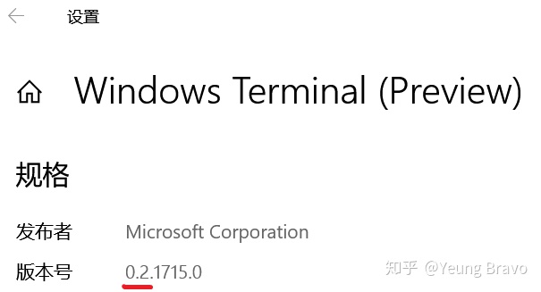 微软网站打不开_终于等到你，微软正式发布 Windows Terminal 预览版