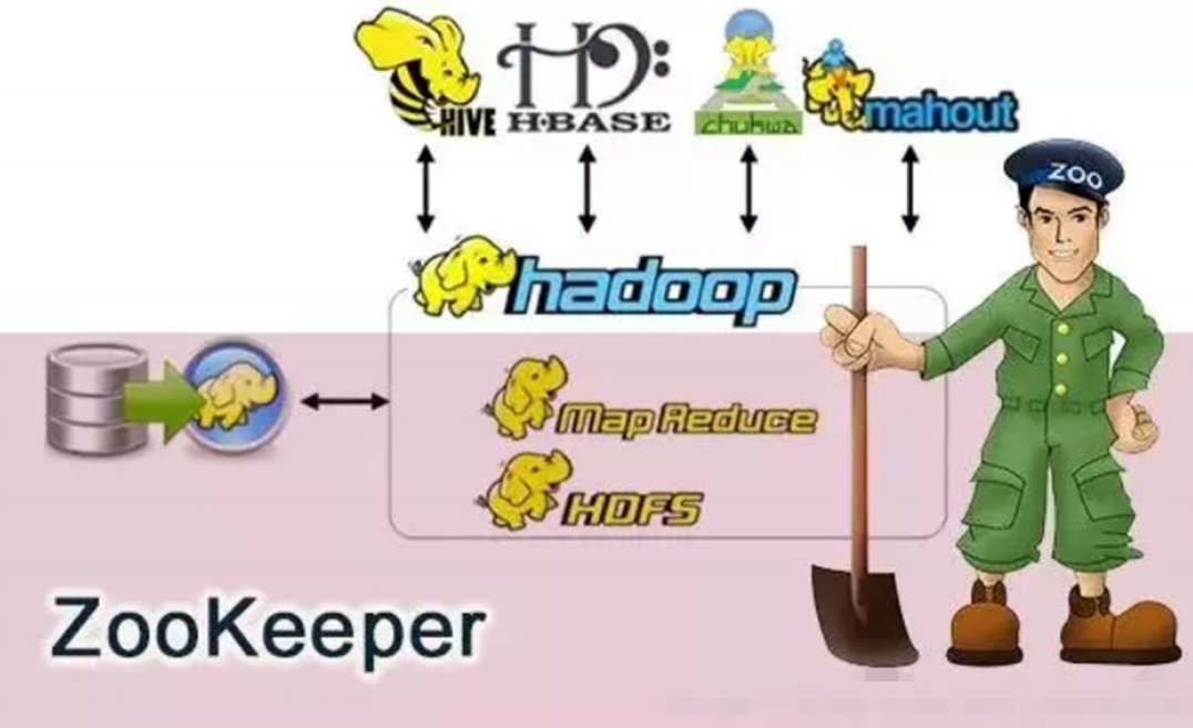 ZooKeeper 简介