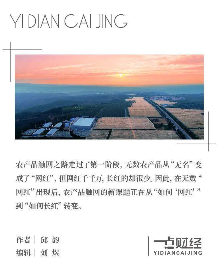 从“一时红”到“持久火”，“网红”农产品如何越向“长红”？_yidiancaijing的