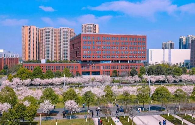 川大计算机系毕业去华为的多吗,四川就业最好的3所大学,第3所录取分超