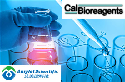 CalBioreagents 艾美捷重组BCOADC-E2蛋白说明书