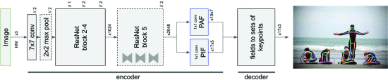 Figure 2: - Model architecture. The input is an image of size (H,W) with three color channels, indicated by "x3". The neural network based encoder produces PIF and PAF fields with 17×5 and 19×7 channels. An operation with stride two is indicated by "//2". The decoder is a program that converts PIF and PAF fields into pose estimates containing 17 joints each. Each joint is represented by an x and y coordinate and a confidence score.
