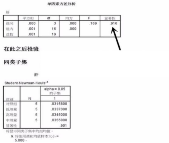 SPSS方差分析应该如何进行[通俗易懂]_https://bianchenghao6.com/blog__第12张
