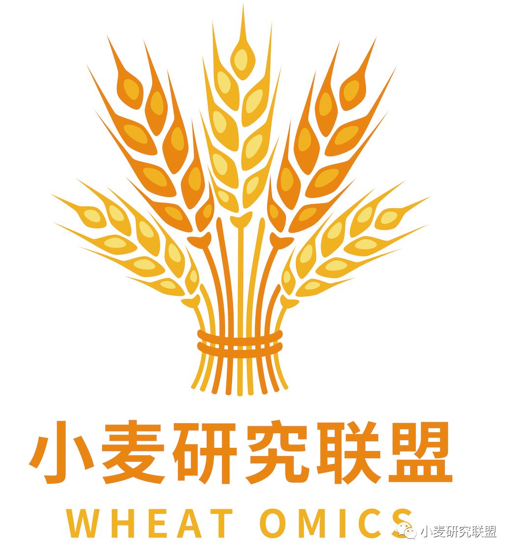 百度地图polygon点击事件中国地图的画法