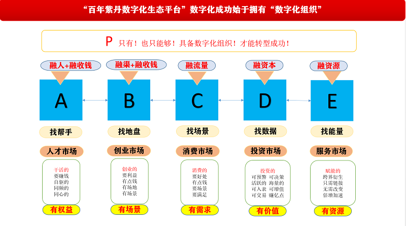 以人为本，构建数字化生态平台