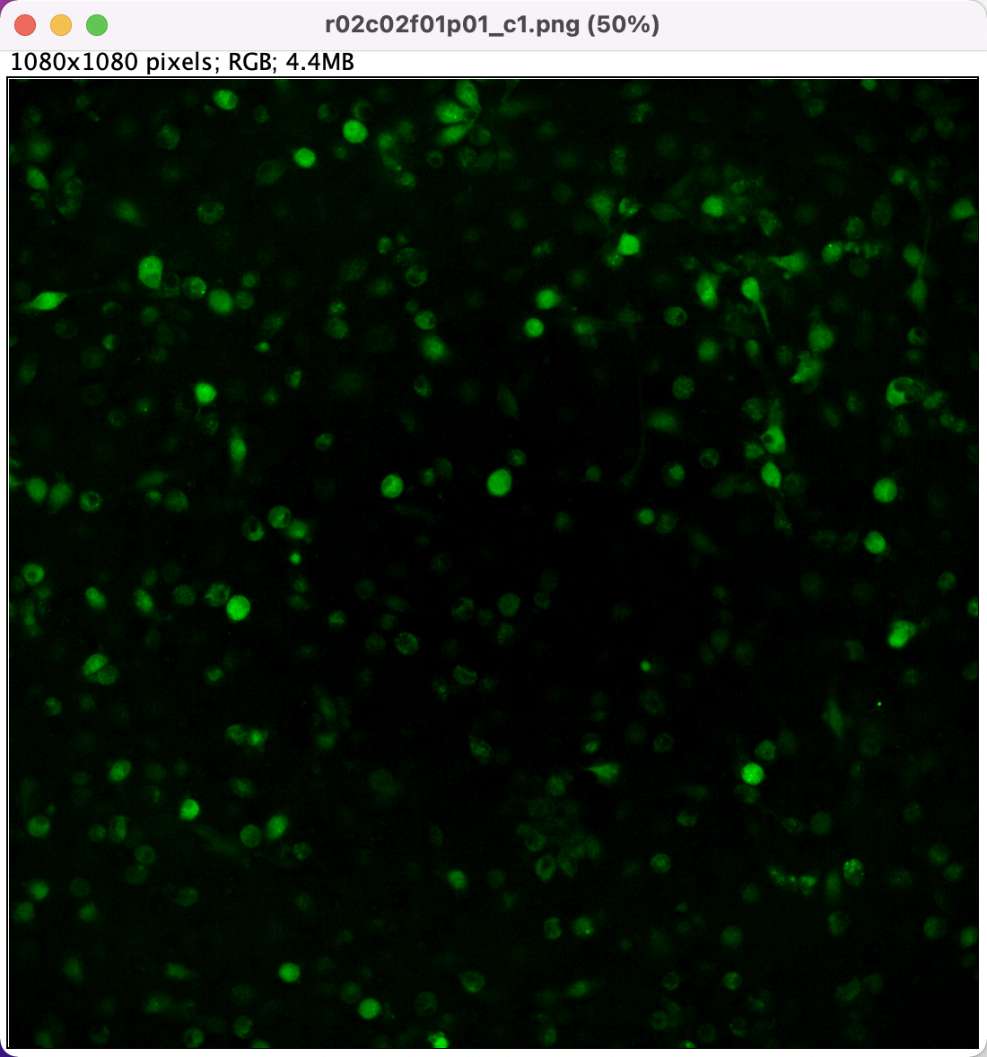 image-20220824152046010