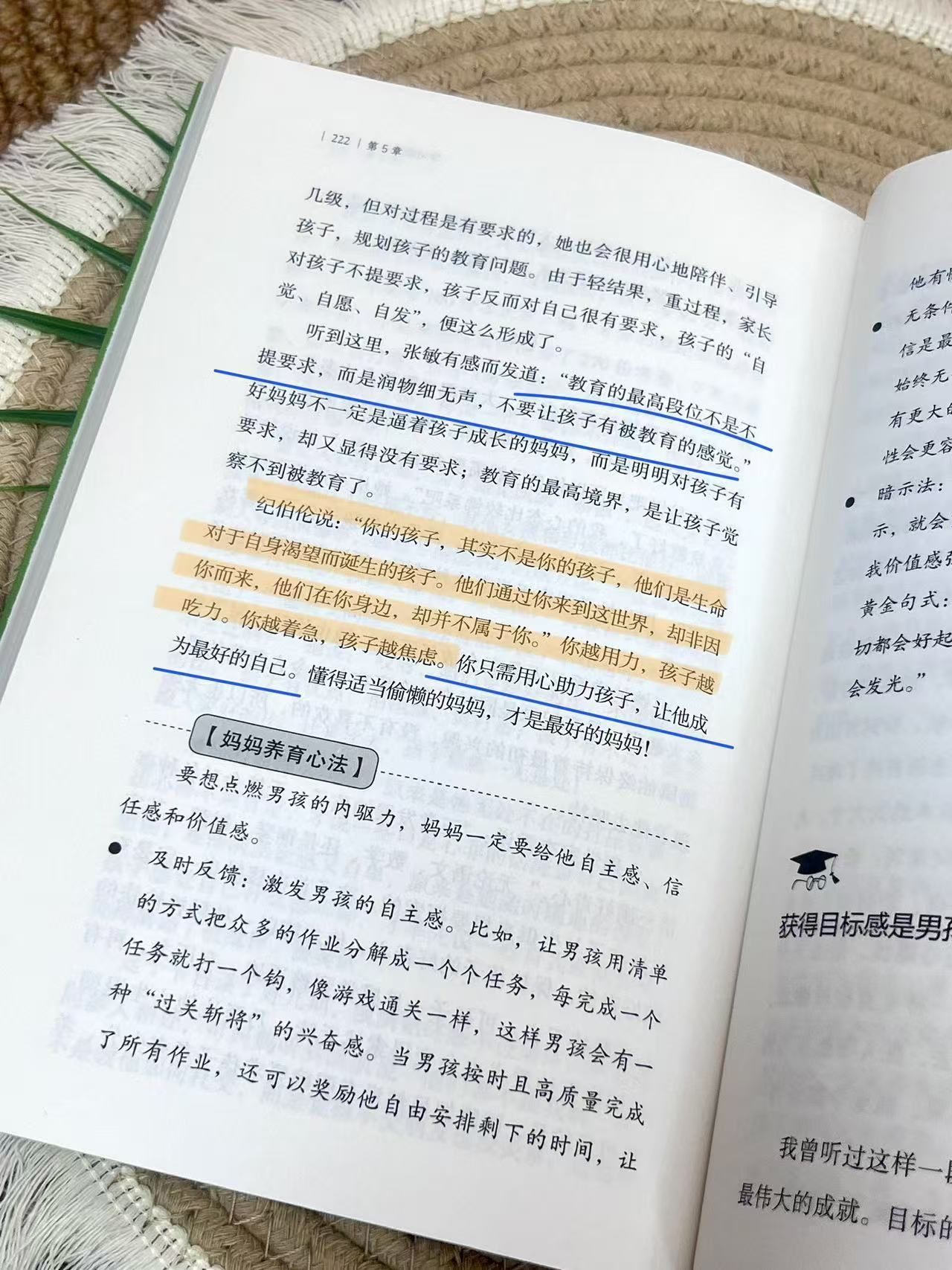 816ff03268e9df90b88457b8d4367cc6.jpeg