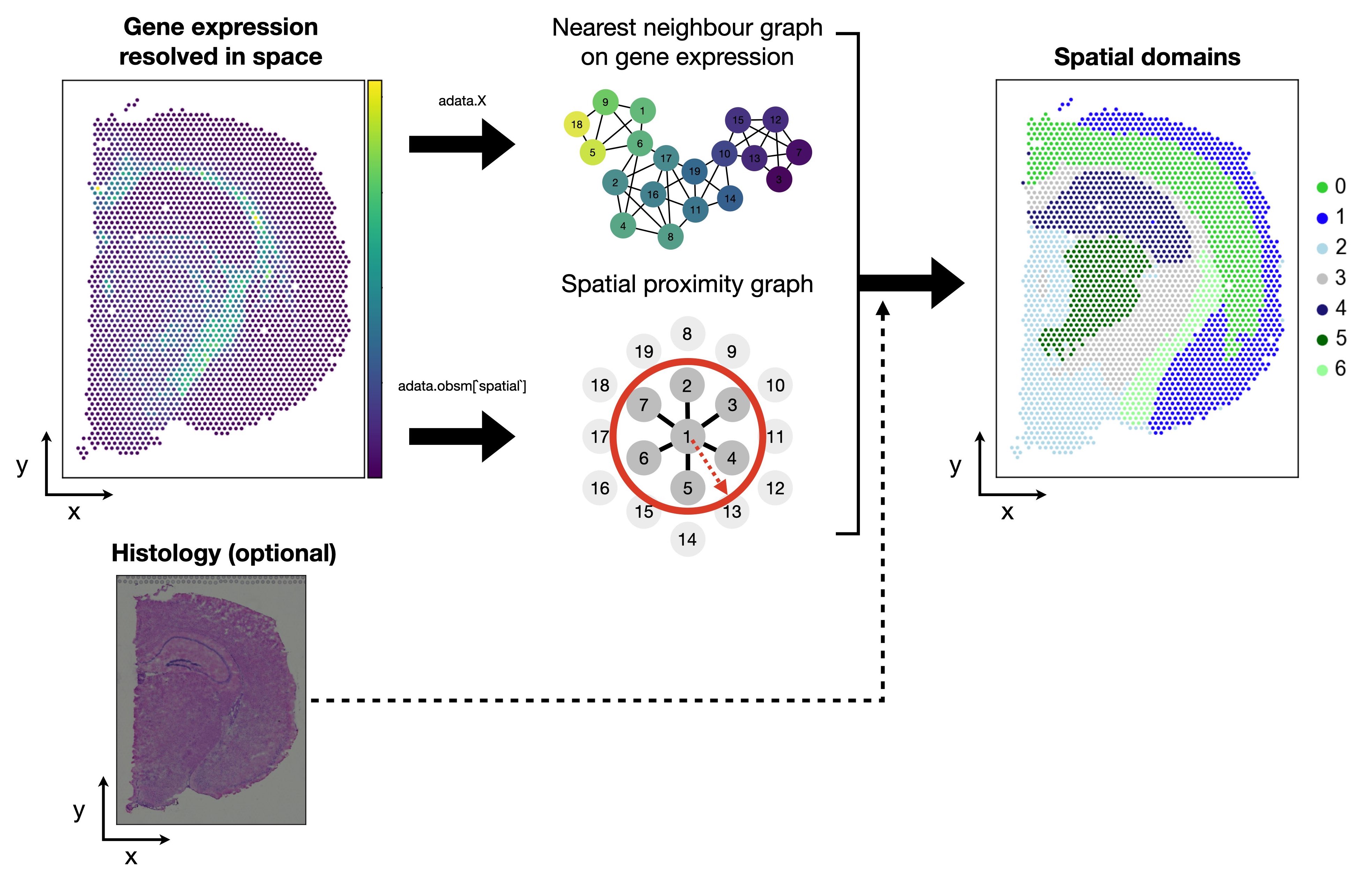 Spatial domains overview