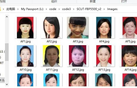 python颜值打分器--你的长相能打几分-CSDN博客