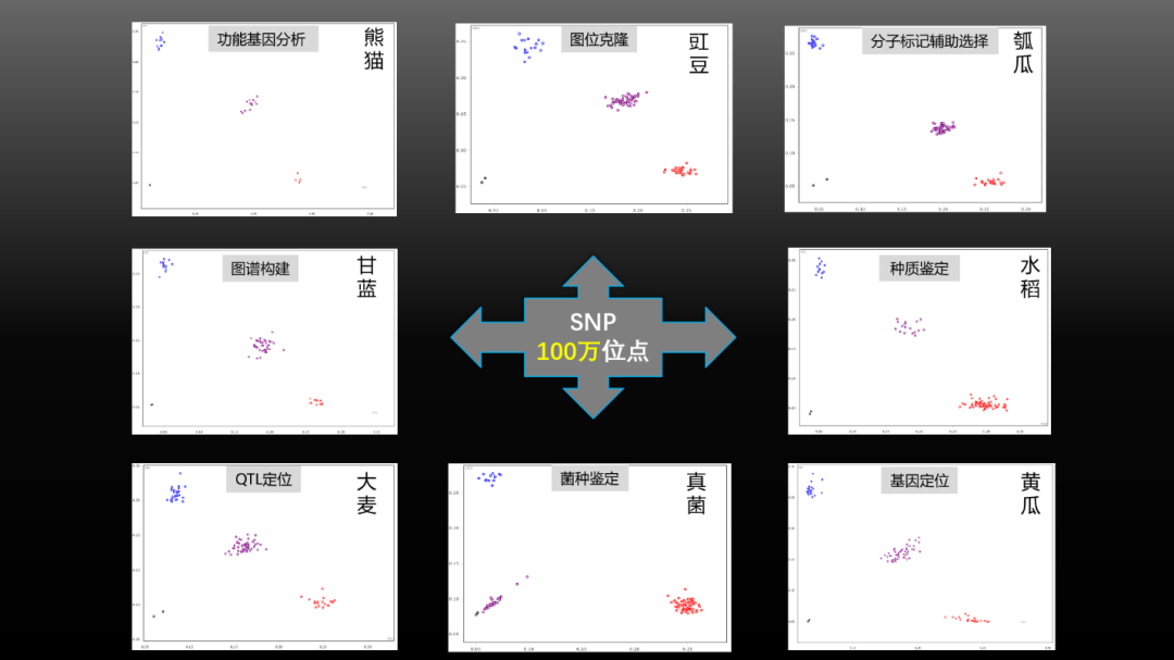 825dc6f71aeaa3cd4daf212256c44815.png
