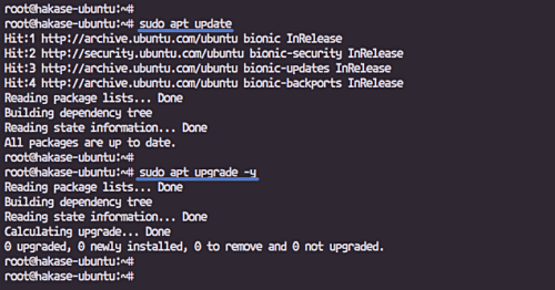 Install Ubuntu updates