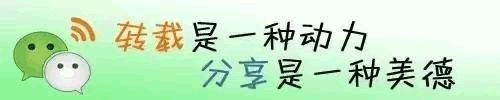 828f8dc558ff3ec56a23314e4ad79bd5.png