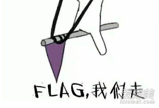 flag是什么意思，C语言中flag是什么意思