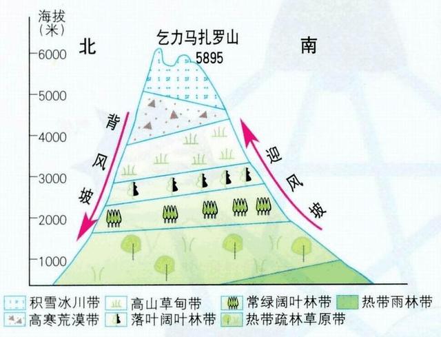 秦岭植被垂直分布图图片