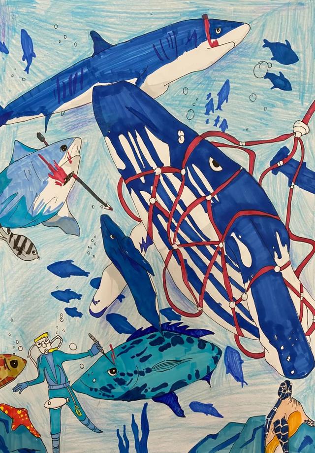 海洋主题绘画神奇宝贝海洋生物的艺术世界绘画比赛获奖作品展来啦