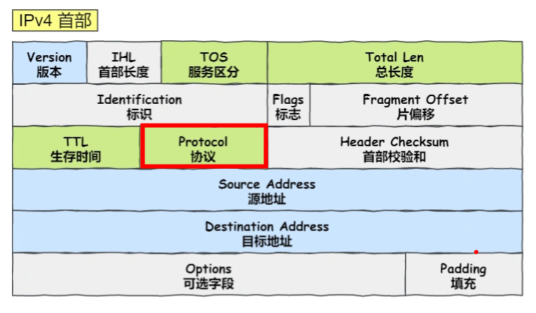 【学习笔记】websocket数据帧