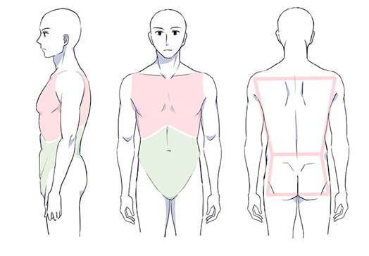 画好动漫男性角色有哪些技巧