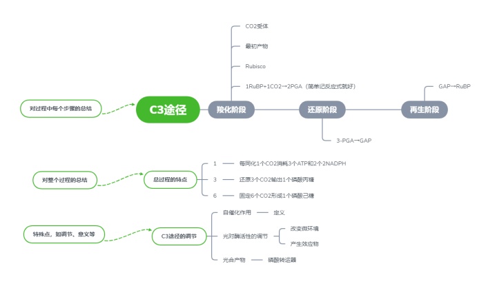 以植物光合作用的c3途徑為例,c3途徑模塊整理