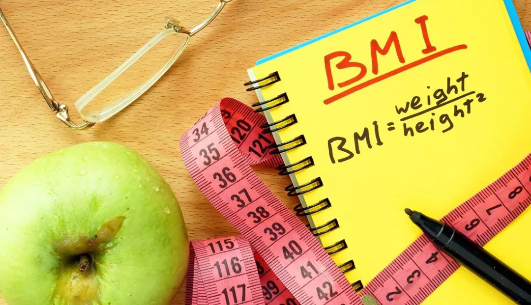 bmi计算 python_看一眼就知道你的BMI：基于Keras与迁移学习的人脸预测系统-CSDN博客