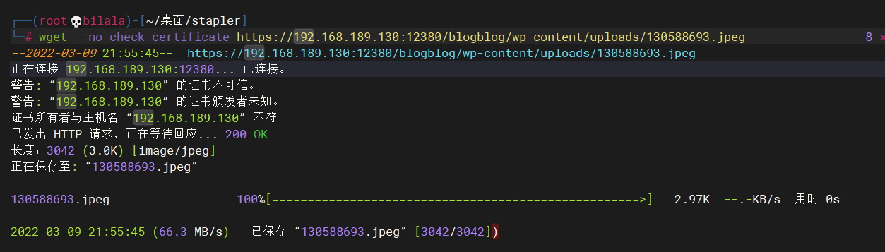 image-20220309223025082