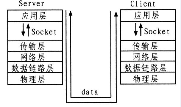 【计算机网络】Socket的OOBInline选项与UrgentData