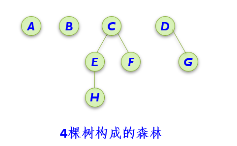  森林 