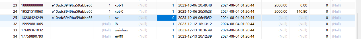 image-20241119235644158