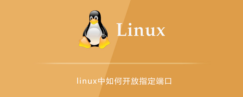 Linux Php启动端口 Linux中如何开放指定端口 Niujiubaba的博客 Csdn博客