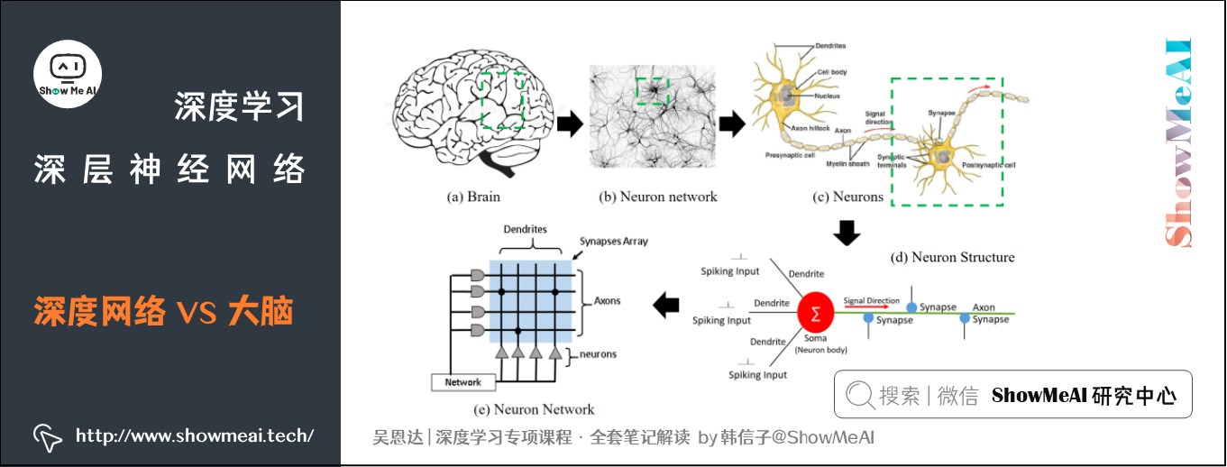 深度网络 VS 大脑