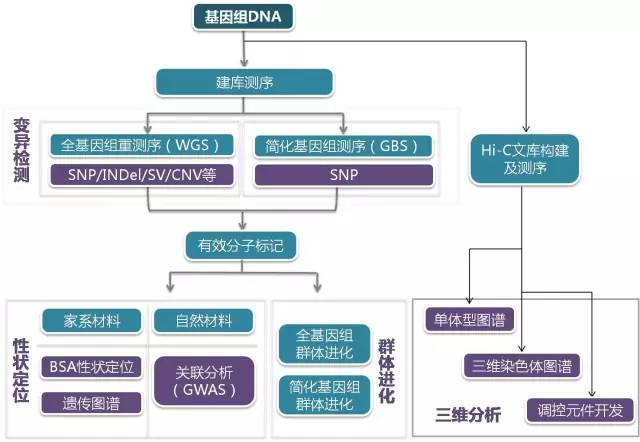 此处输入图片的描述