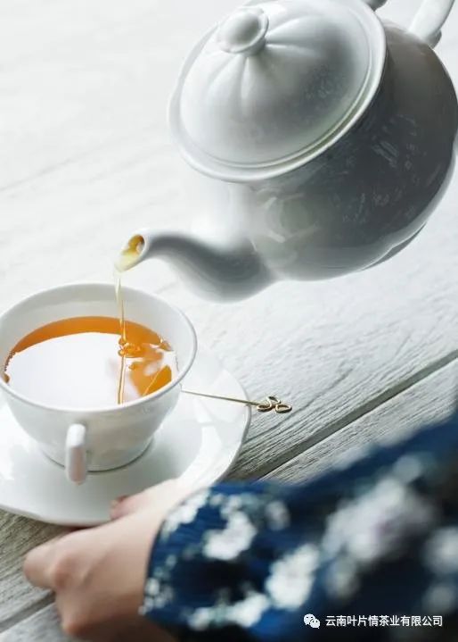 普洱茶知识大全