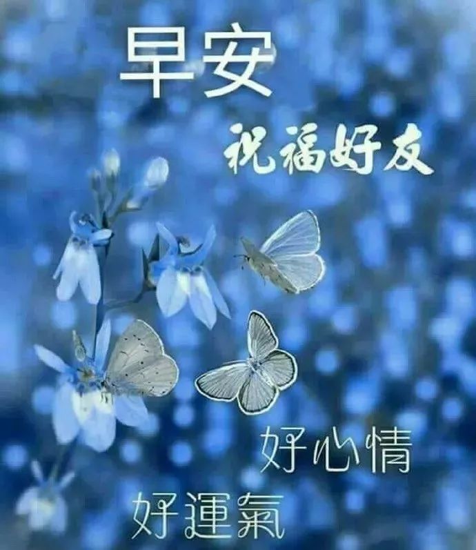 透明圖片怎麼發給別人微信群發祝福朋友早上好表情動態圖片帶字最美的