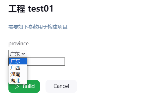 Jenkins参数化构建_参数配置_50