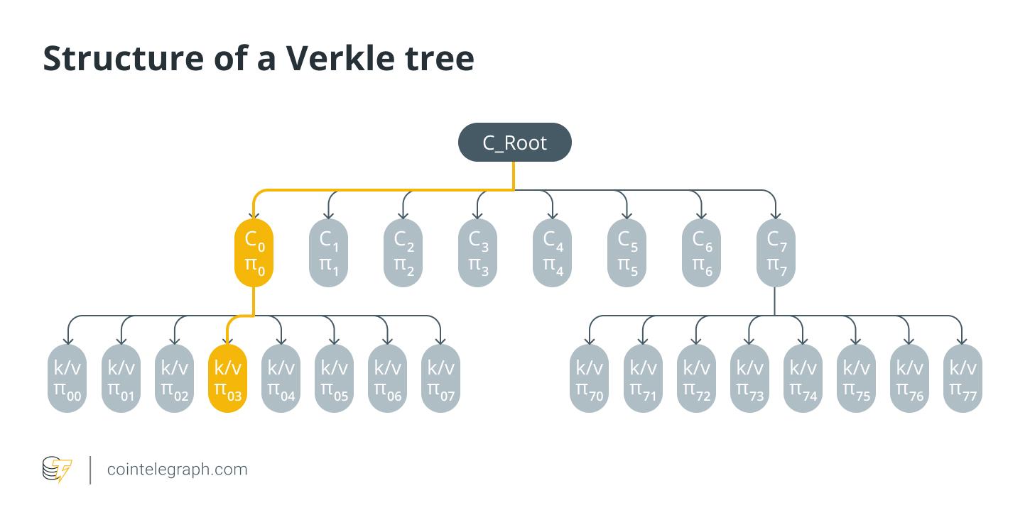 Merkle trees vs Verkle trees