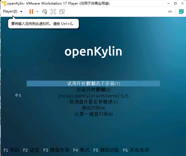 在虚拟机VMware上安装OpenKylin开源操作系统_vmware 安装 Openkylin-CSDN博客