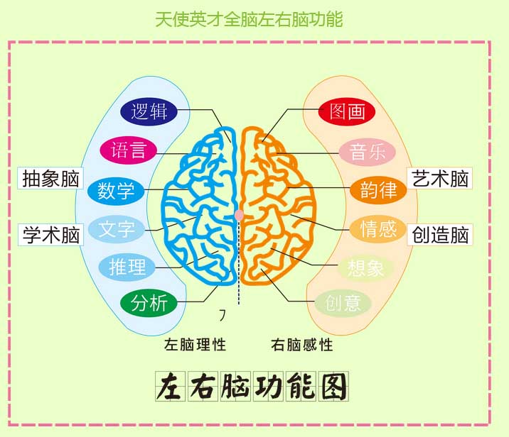 学习全脑速读记忆的方法:连续.