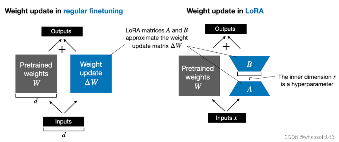 LoRA3_数据集