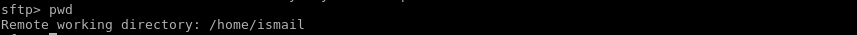 Current Working Directory On Remote