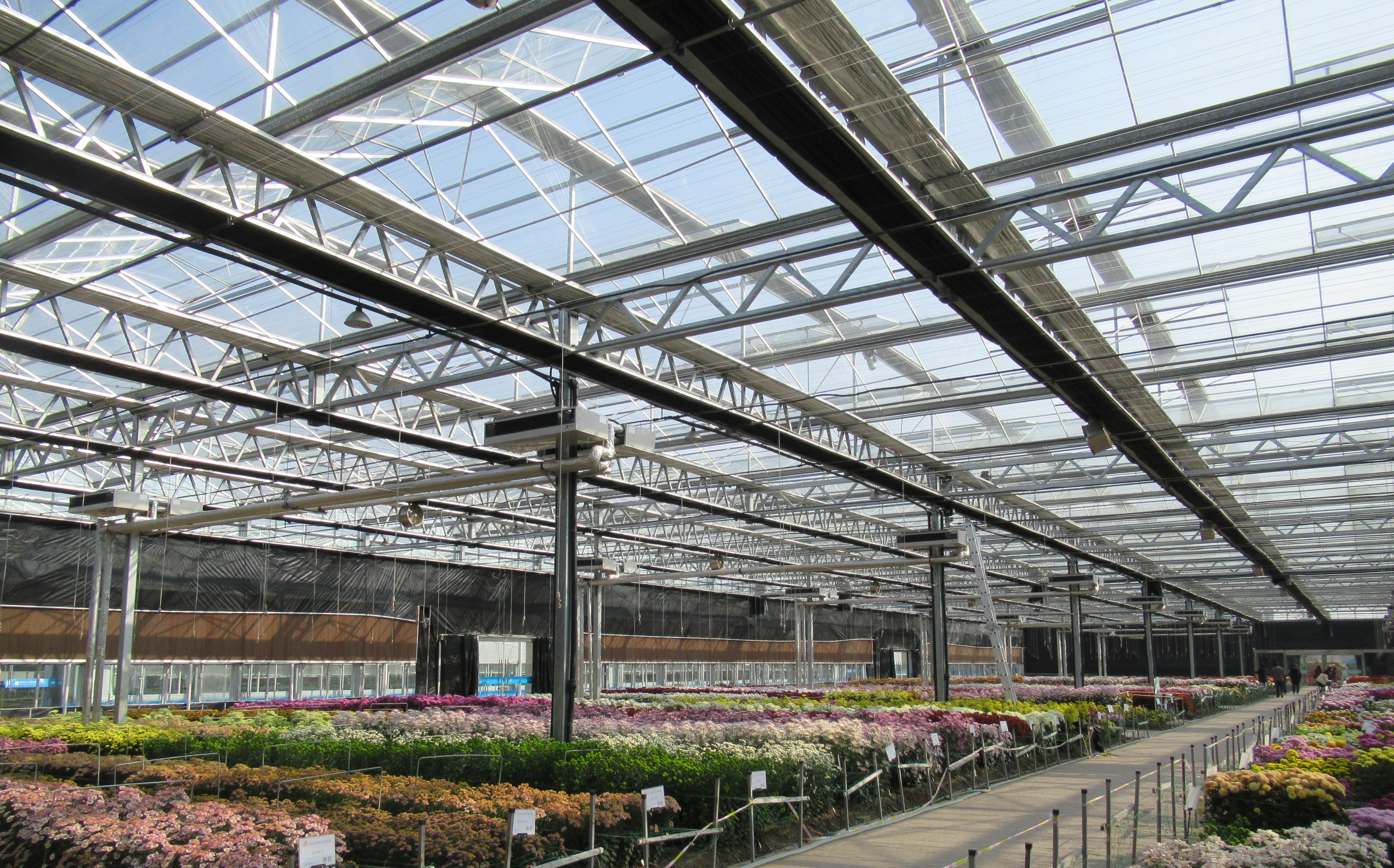 venlo形温室结构的结构单元主要包括主柱,边跨柱,桁架(包括弦杆,父怂