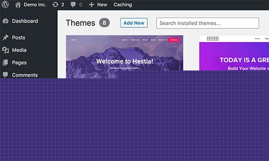 Launching the theme customizer Launching the theme customizer