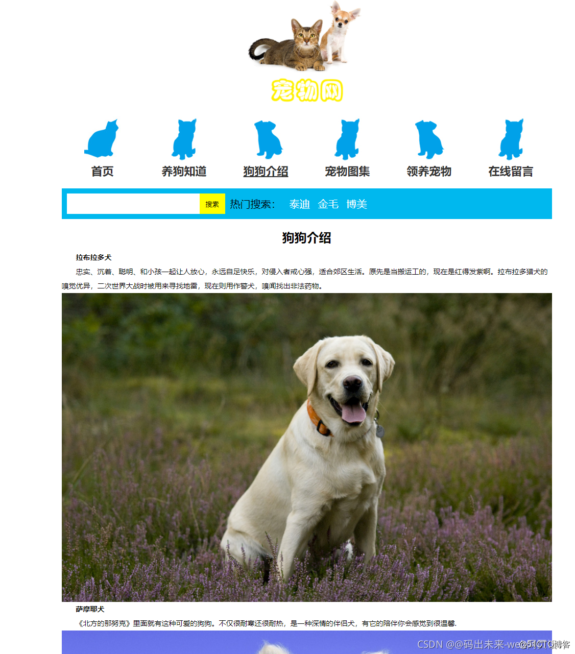 设计——宠物网(8页)html css javascript 学生dw网页设计作业成品