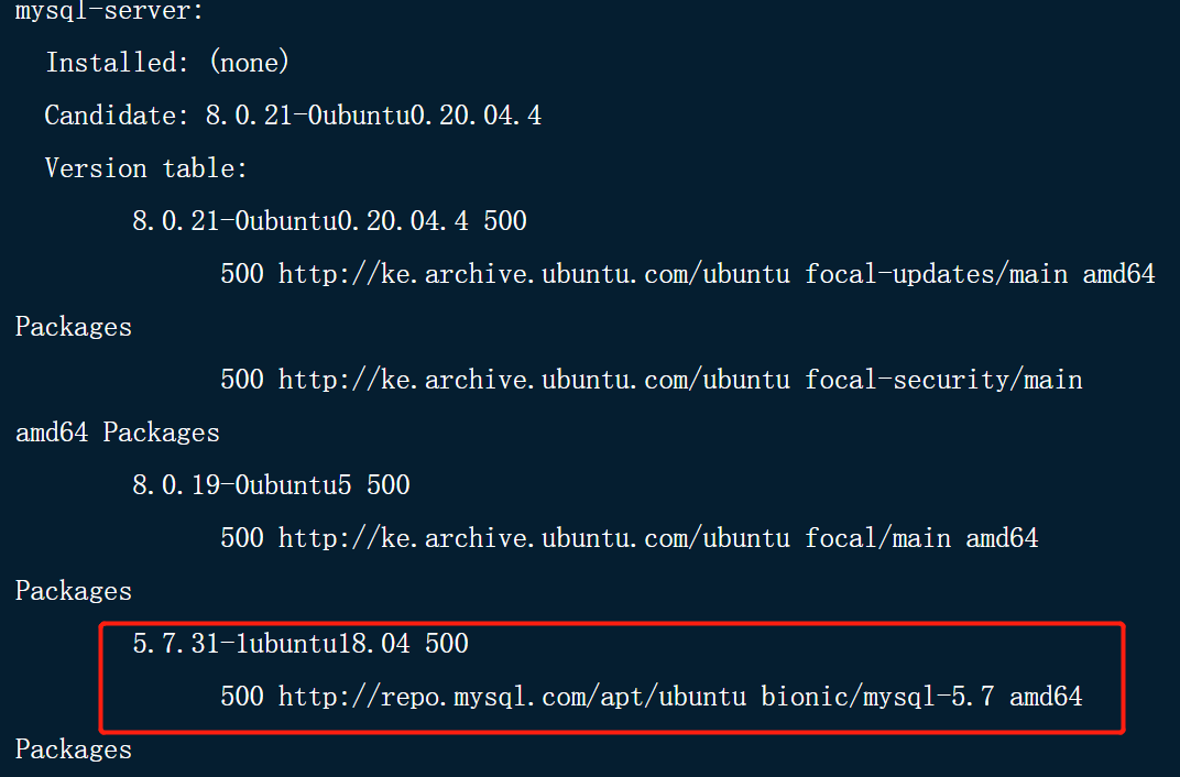 image-20210309221748742