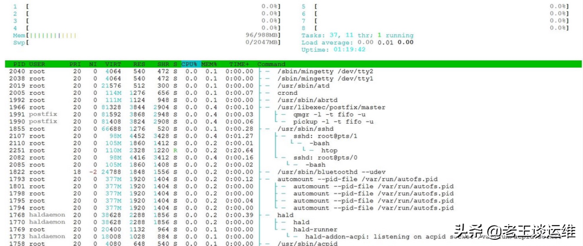 检查linux内存占用的 5 大命令，你知道几个？ Linux查看内存大小命令 Csdn博客