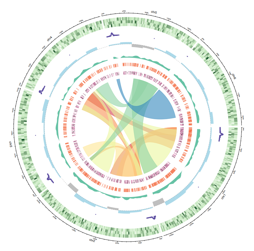 使用gsds绘制基因结构图云平台在线circos绘图基因组类型omicstudio重