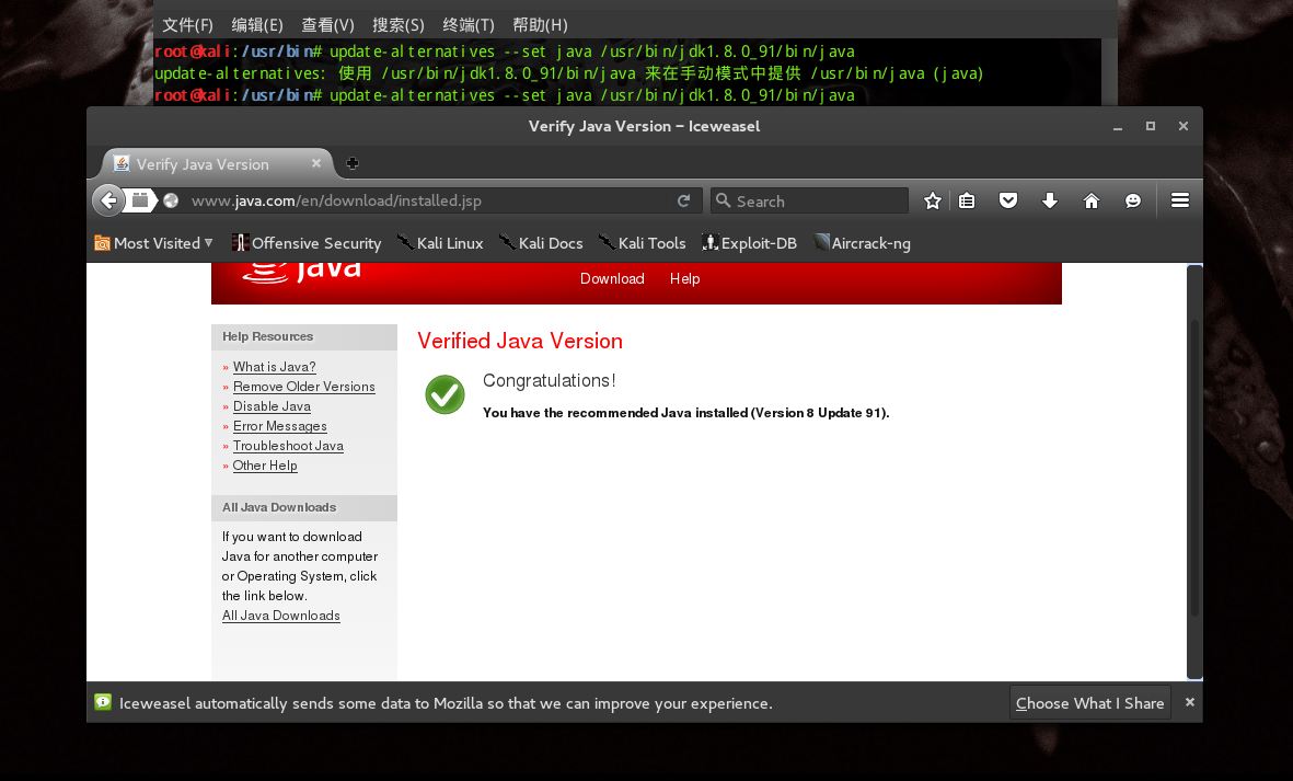 kali删除java_Kali 安装JAVACSDN博客