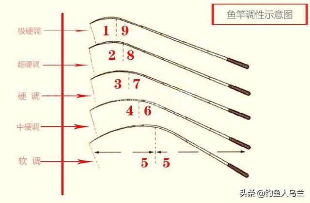 是什么调性1张调性图教你读懂鱼竿选择合适调性的钓竿很重要