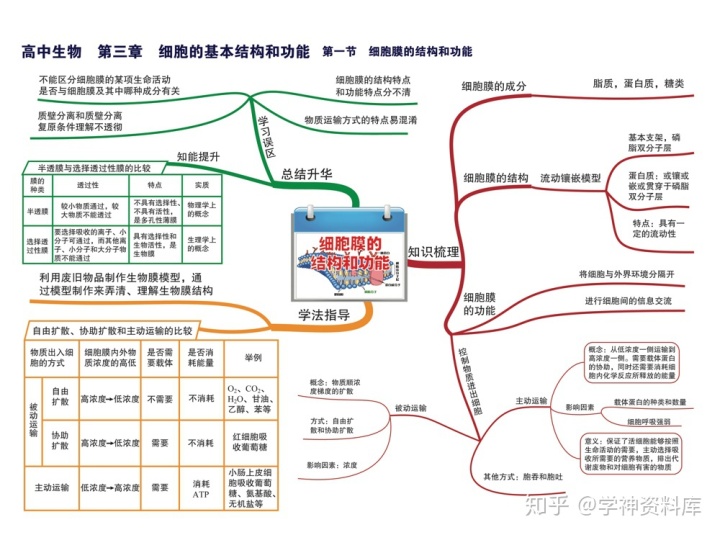 導數與微分的知識點思維導圖高中生物思維導圖知識點總結