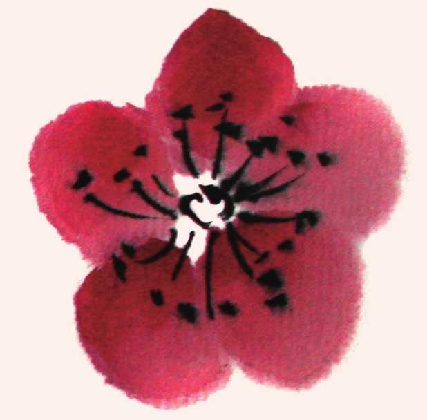 用python画出简单笑脸画法国画知识怎么样用圈点结合画法画梅花梅枝