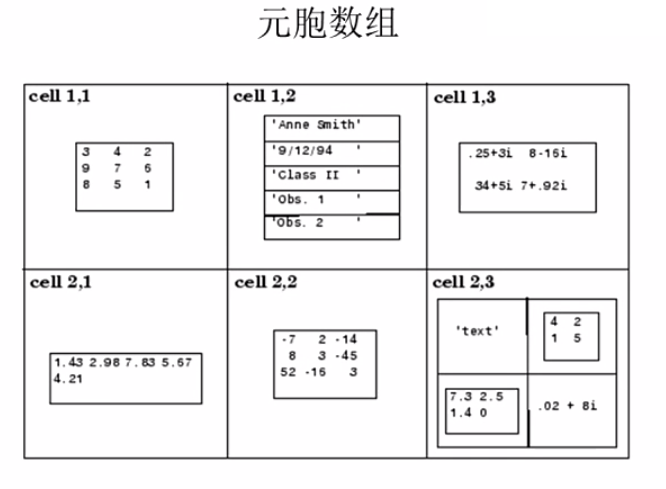 元胞数组